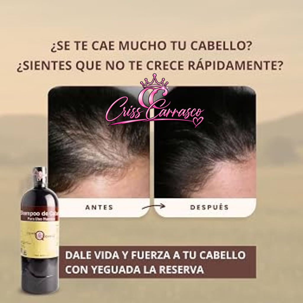 SHAMPOO LA YEGUADA